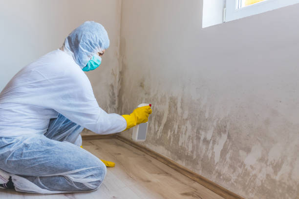 Mold Removal for HVAC Installations in Oklahoma City, OK