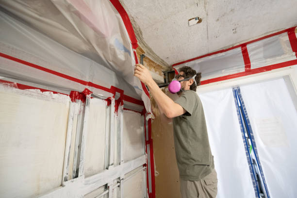 Best Mold Prevention Services  in Lahoma City, OK